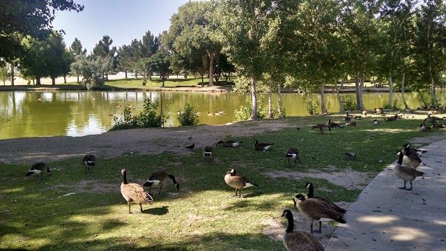 Floyd Lamb State Park